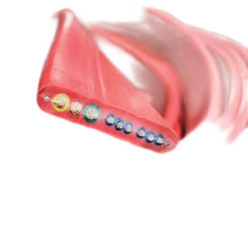 �����������ǲ���Z6���й�������ҳ����