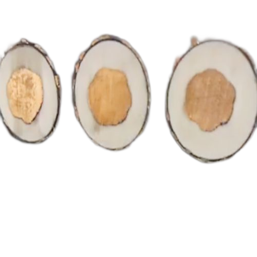 �����������ǲ���Z6���й�������ҳ����