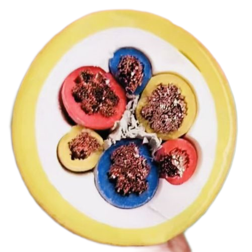 �����������ǲ���Z6���й�������ҳ����