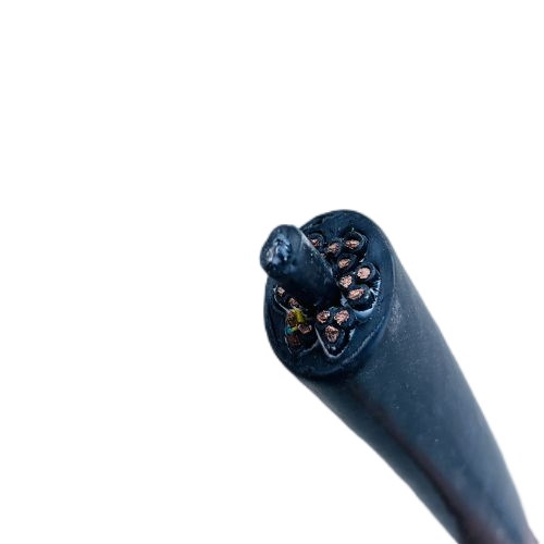 �����������ǲ���Z6���й�������ҳ����