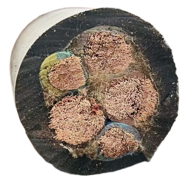 �����������ǲ���Z6���й�������ҳ����