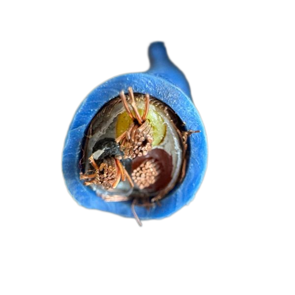 尊龙人生就是博·Z6「中国区」首页官网