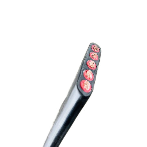 �����������ǲ���Z6���й�������ҳ����