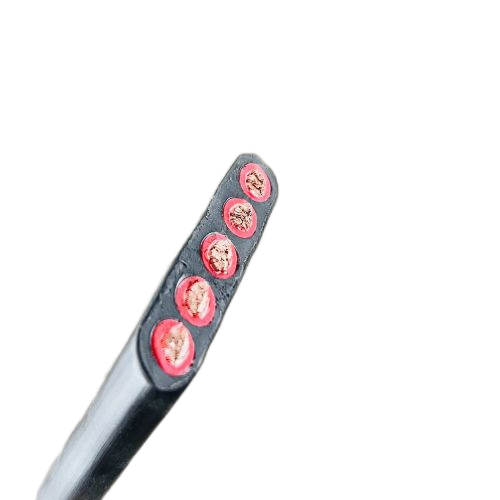 �����������ǲ���Z6���й�������ҳ����