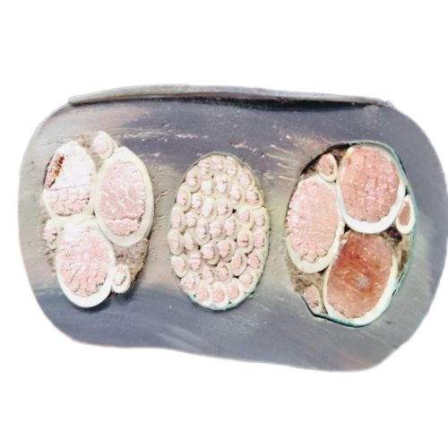 �����������ǲ���Z6���й�������ҳ����