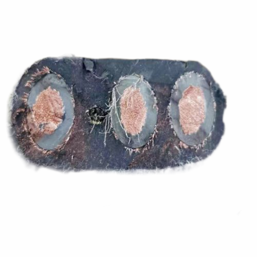 �����������ǲ���Z6���й�������ҳ����