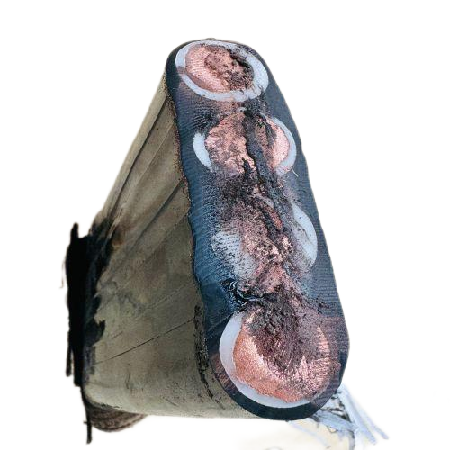 �����������ǲ���Z6���й�������ҳ����