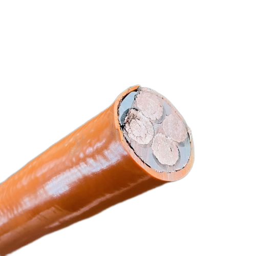 �����������ǲ���Z6���й�������ҳ����