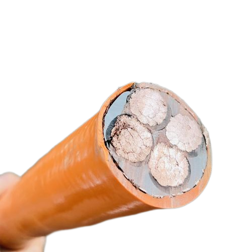 �����������ǲ���Z6���й�������ҳ����