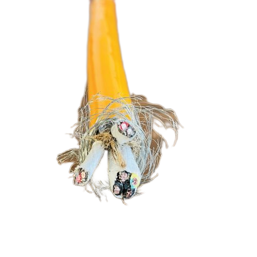 �����������ǲ���Z6���й�������ҳ����