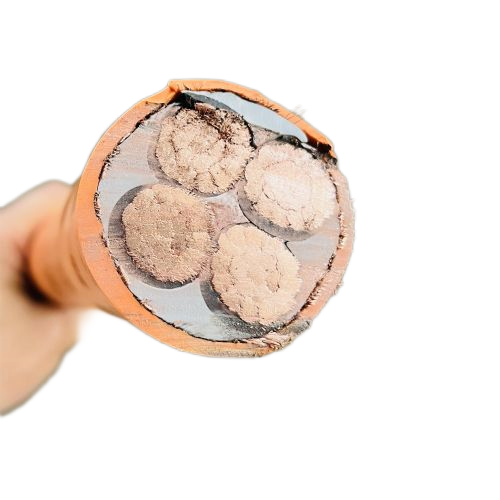 �����������ǲ���Z6���й�������ҳ����