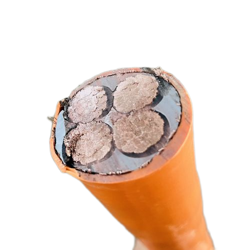 �����������ǲ���Z6���й�������ҳ����