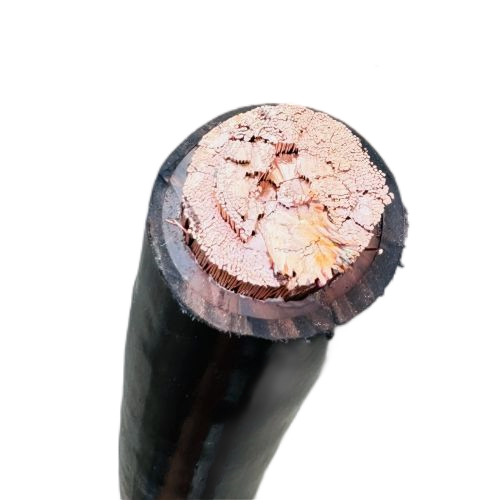 尊龙人生就是博·Z6「中国区」首页官网