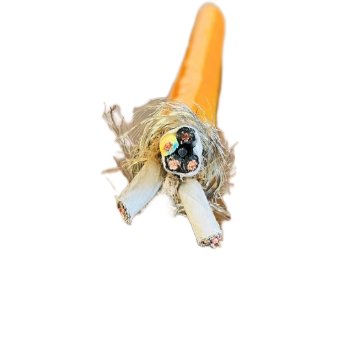 �����������ǲ���Z6���й�������ҳ����