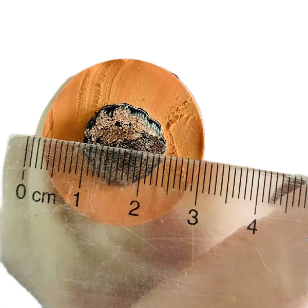 �����������ǲ���Z6���й�������ҳ����