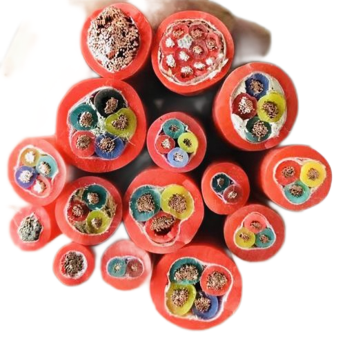 �����������ǲ���Z6���й�������ҳ����