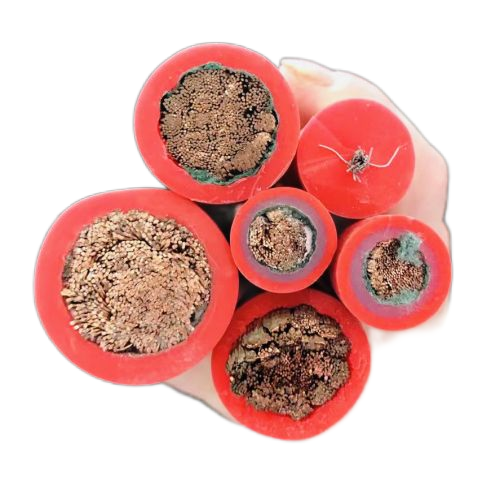 �����������ǲ���Z6���й�������ҳ����