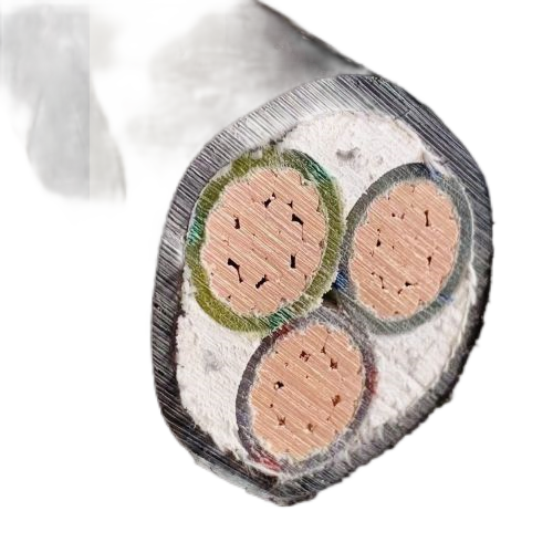 �����������ǲ���Z6���й�������ҳ����