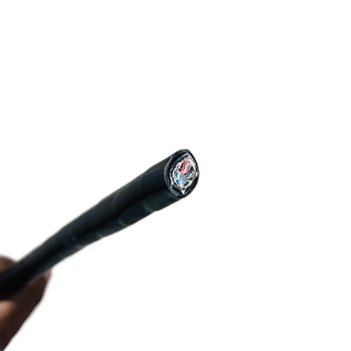 尊龙人生就是博·Z6「中国区」首页官网