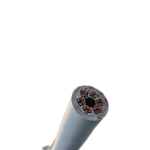 �����������ǲ���Z6���й�������ҳ����