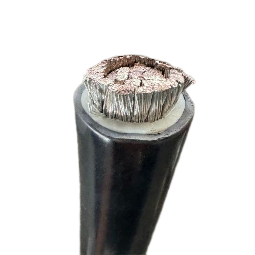 �����������ǲ���Z6���й�������ҳ����