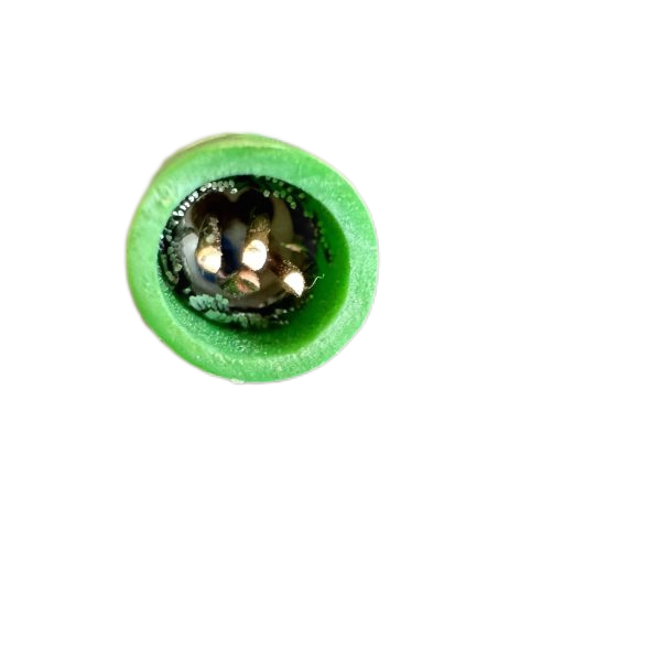 �����������ǲ���Z6���й�������ҳ����