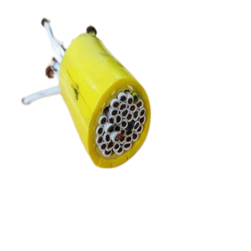 �����������ǲ���Z6���й�������ҳ����