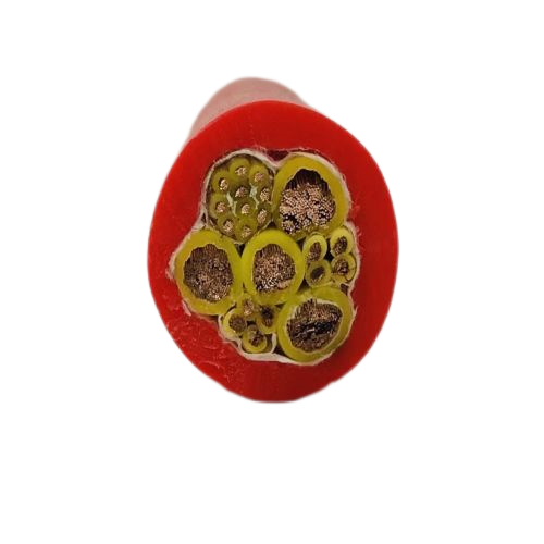 �����������ǲ���Z6���й�������ҳ����