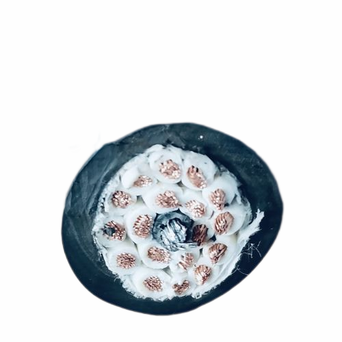 �����������ǲ���Z6���й�������ҳ����