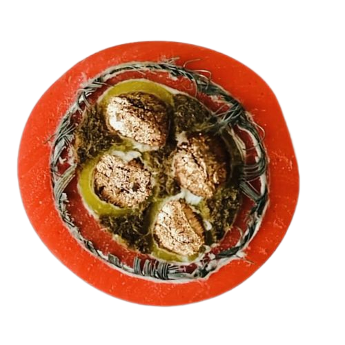 �����������ǲ���Z6���й�������ҳ����