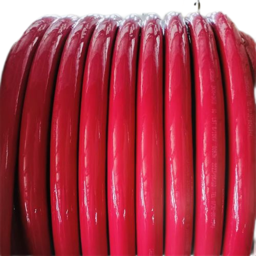 �����������ǲ���Z6���й�������ҳ����