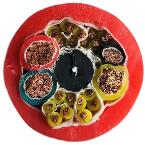 �����������ǲ���Z6���й�������ҳ����