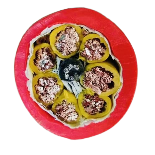 �����������ǲ���Z6���й�������ҳ����