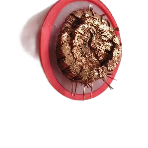 �����������ǲ���Z6���й�������ҳ����