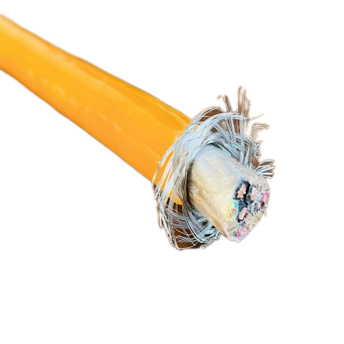 尊龙人生就是博·Z6「中国区」首页官网