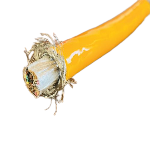 尊龙人生就是博·Z6「中国区」首页官网