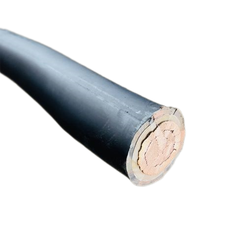 �����������ǲ���Z6���й�������ҳ����