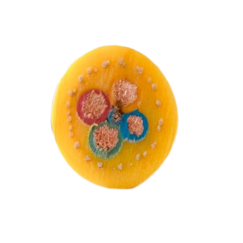 �����������ǲ���Z6���й�������ҳ����