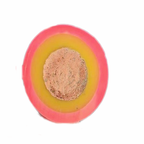 尊龙人生就是博·Z6「中国区」首页官网