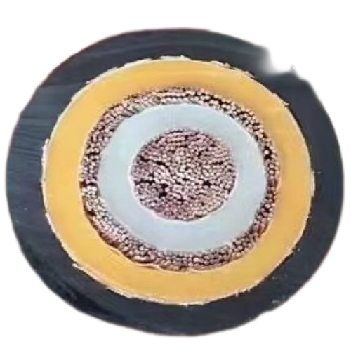 尊龙人生就是博·Z6「中国区」首页官网