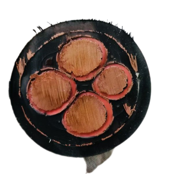 �����������ǲ���Z6���й�������ҳ����