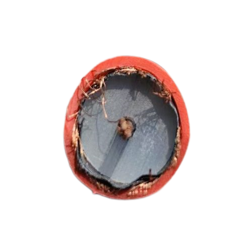 �����������ǲ���Z6���й�������ҳ����