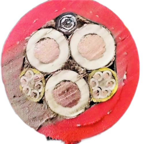 �����������ǲ���Z6���й�������ҳ����