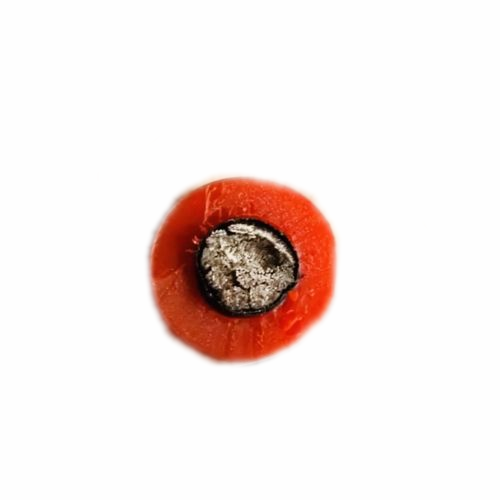 �����������ǲ���Z6���й�������ҳ����