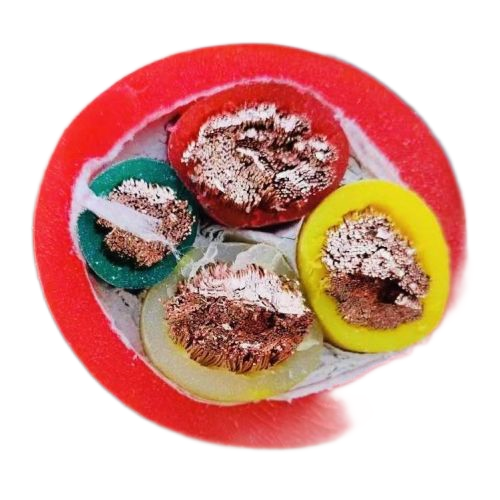 �����������ǲ���Z6���й�������ҳ����