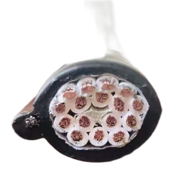 尊龙人生就是博·Z6「中国区」首页官网