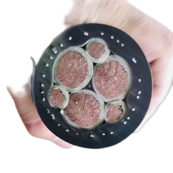 �����������ǲ���Z6���й�������ҳ����