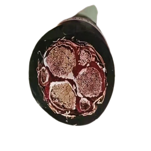 �����������ǲ���Z6���й�������ҳ����