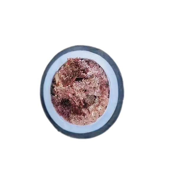 �����������ǲ���Z6���й�������ҳ����