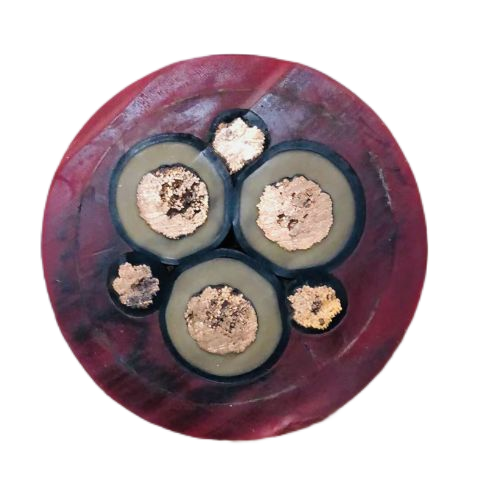 �����������ǲ���Z6���й�������ҳ����